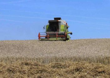 Landwirtschaft - Mähdrescher