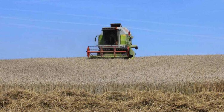Landwirtschaft - Mähdrescher