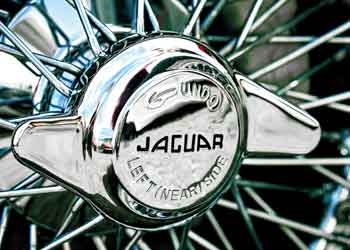 Jaguar - Designikone