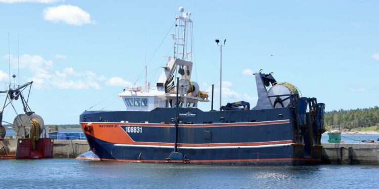 Schiff Nathen K