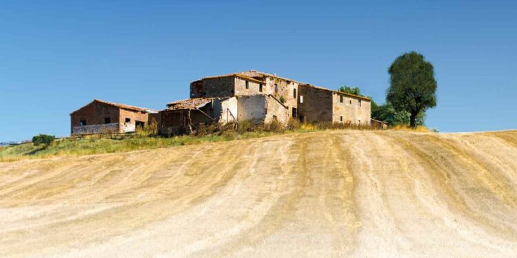 Grandezza für den Acker