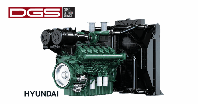 DGS präsentiert Hyundai Motor
